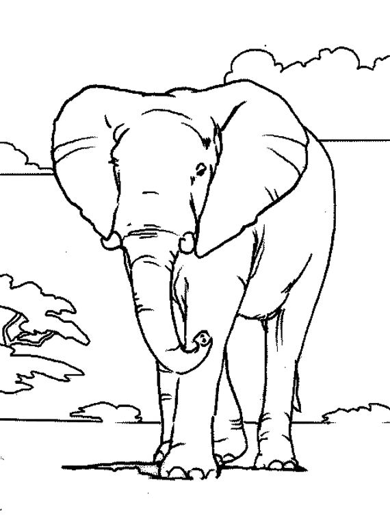 Dessin à colorier: Éléphant (Animaux) #6301 - Coloriages à Imprimer Gratuits
