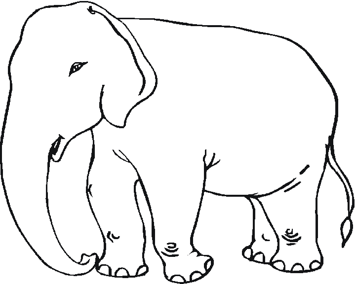 Dessin à colorier: Éléphant (Animaux) #6342 - Coloriages à Imprimer Gratuits