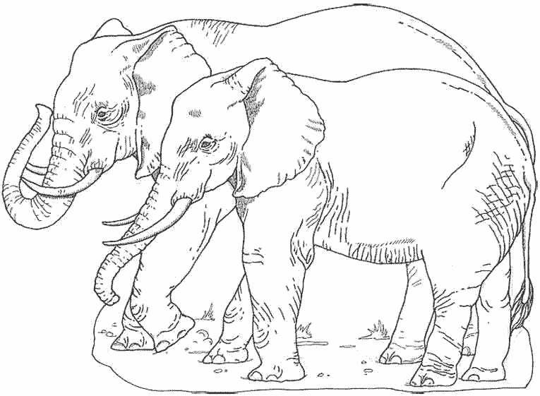 Dessin à colorier: Éléphant (Animaux) #6486 - Coloriages à Imprimer Gratuits