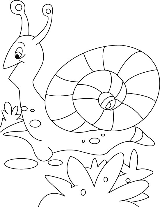 Dessin à colorier: Escargot (Animaux) #6590 - Coloriages à Imprimer Gratuits