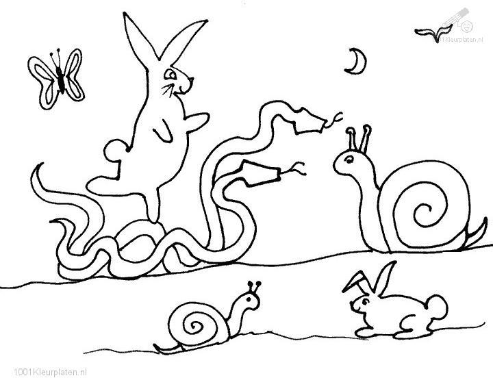 Dessin à colorier: Escargot (Animaux) #6664 - Coloriages à Imprimer Gratuits