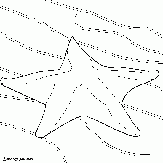 Dessin à colorier: Étoile de mer (Animaux) #6715 - Coloriages à Imprimer Gratuits