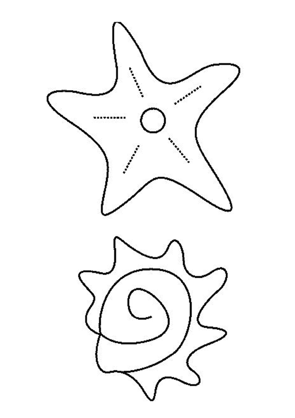 Dessin à colorier: Étoile de mer (Animaux) #6723 - Coloriages à Imprimer Gratuits