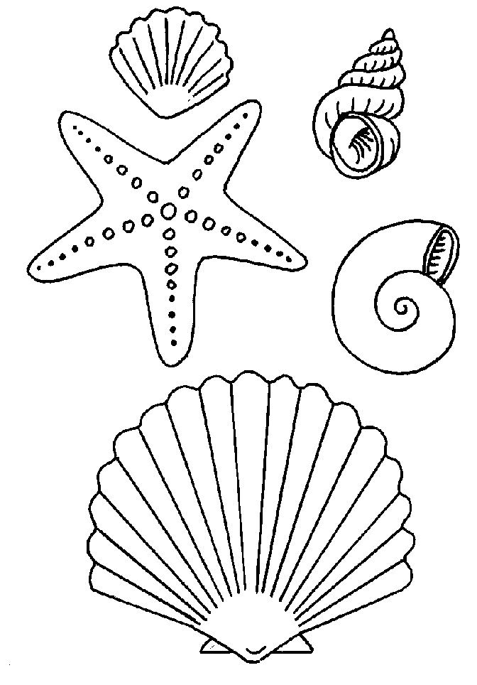 Dessin à colorier: Étoile de mer (Animaux) #6794 - Coloriages à Imprimer Gratuits