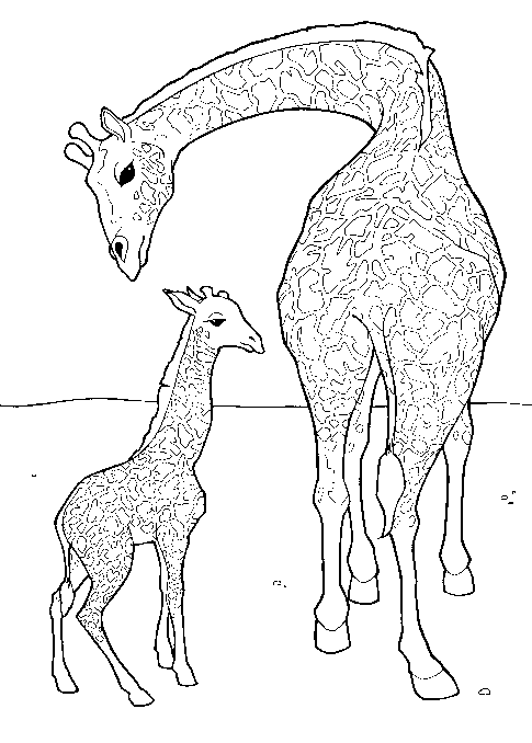 Dessin à colorier: Girafe (Animaux) #7238 - Coloriages à Imprimer Gratuits