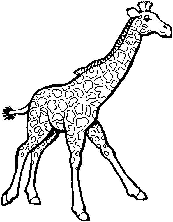Dessin à colorier: Girafe (Animaux) #7246 - Coloriages à Imprimer Gratuits