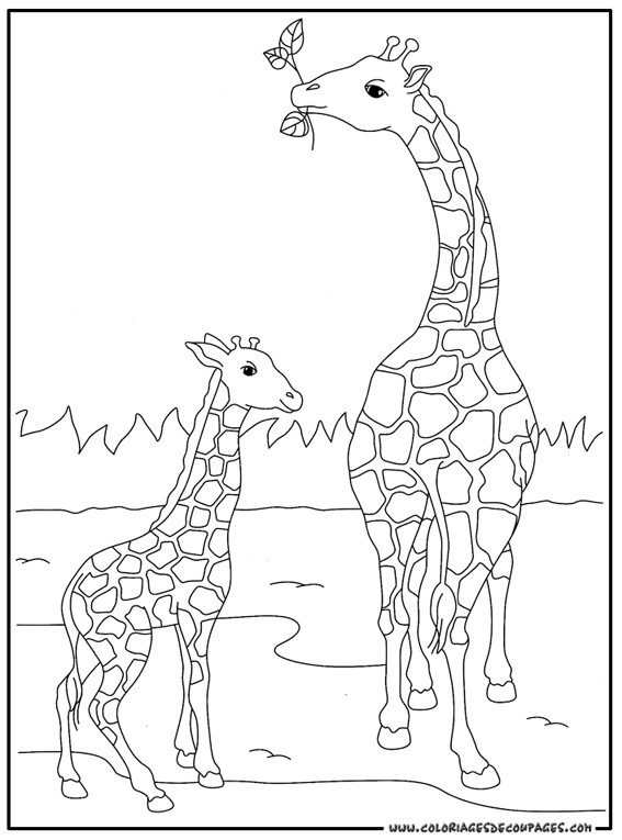Dessin à colorier: Girafe (Animaux) #7248 - Coloriages à Imprimer Gratuits