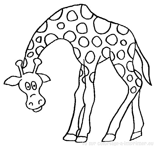 Dessin à colorier: Girafe (Animaux) #7250 - Coloriages à Imprimer Gratuits