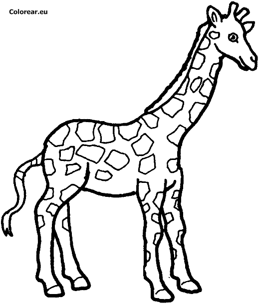 Dessin à colorier: Girafe (Animaux) #7261 - Coloriages à Imprimer Gratuits