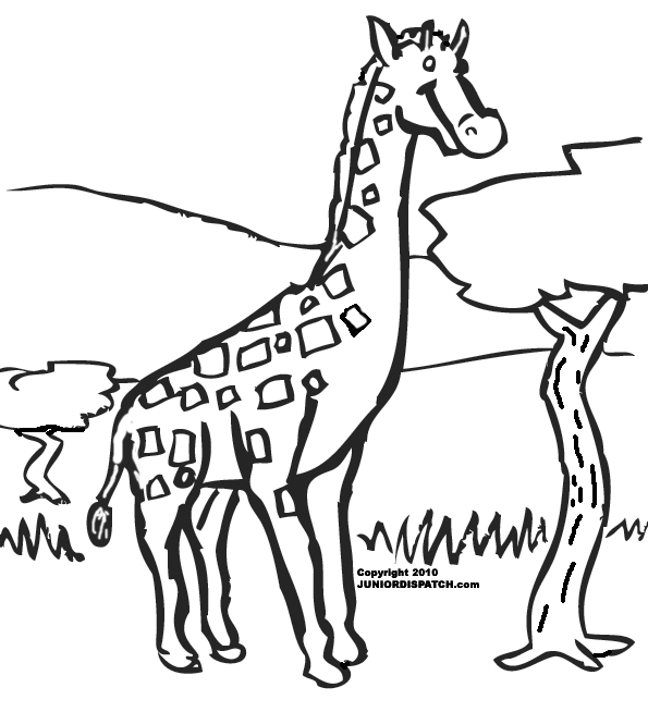 Dessin à colorier: Girafe (Animaux) #7287 - Coloriages à Imprimer Gratuits