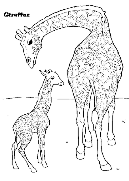 Dessin à colorier: Girafe (Animaux) #7413 - Coloriages à Imprimer Gratuits