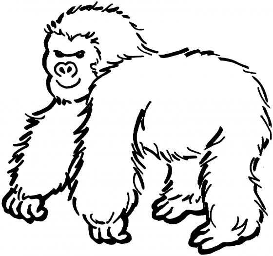 Dessin à colorier: Gorille (Animaux) #7426 - Coloriages à Imprimer Gratuits