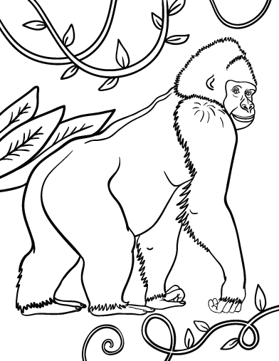 Dessin à colorier: Gorille (Animaux) #7442 - Coloriages à Imprimer Gratuits