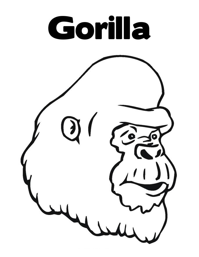Dessin à colorier: Gorille (Animaux) #7443 - Coloriages à Imprimer Gratuits