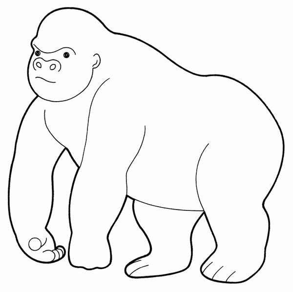 Dessin à colorier: Gorille (Animaux) #7447 - Coloriages à Imprimer Gratuits