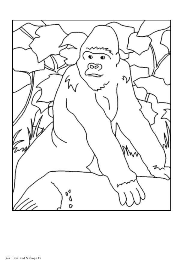 Dessin à colorier: Gorille (Animaux) #7451 - Coloriages à Imprimer Gratuits