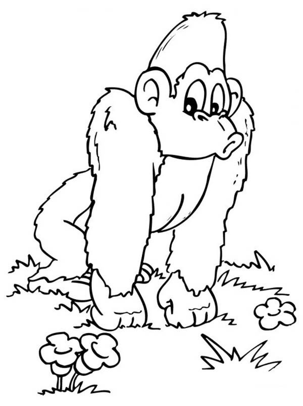 Dessin à colorier: Gorille (Animaux) #7460 - Coloriages à Imprimer Gratuits