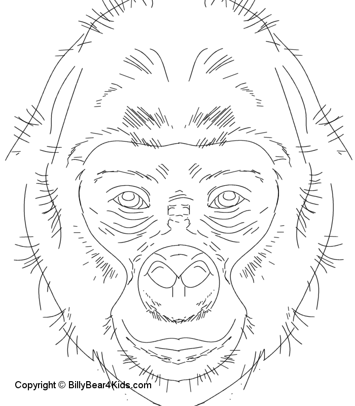 Dessin à colorier: Gorille (Animaux) #7463 - Coloriages à Imprimer Gratuits