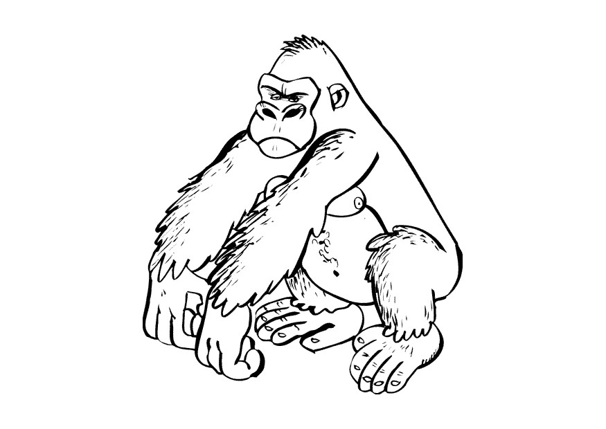 Dessin à colorier: Gorille (Animaux) #7481 - Coloriages à Imprimer Gratuits