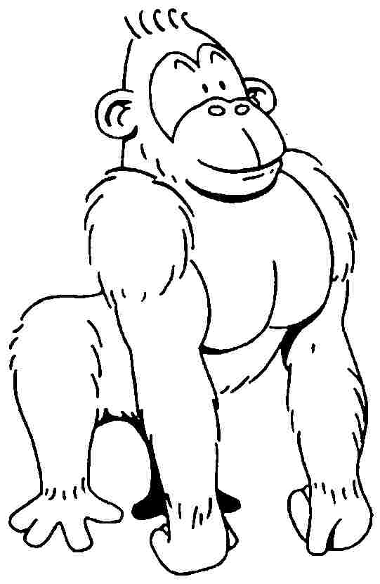 Dessin à colorier: Gorille (Animaux) #7495 - Coloriages à Imprimer Gratuits