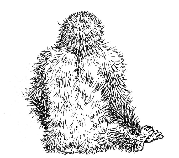 Dessin à colorier: Gorille (Animaux) #7507 - Coloriages à Imprimer Gratuits