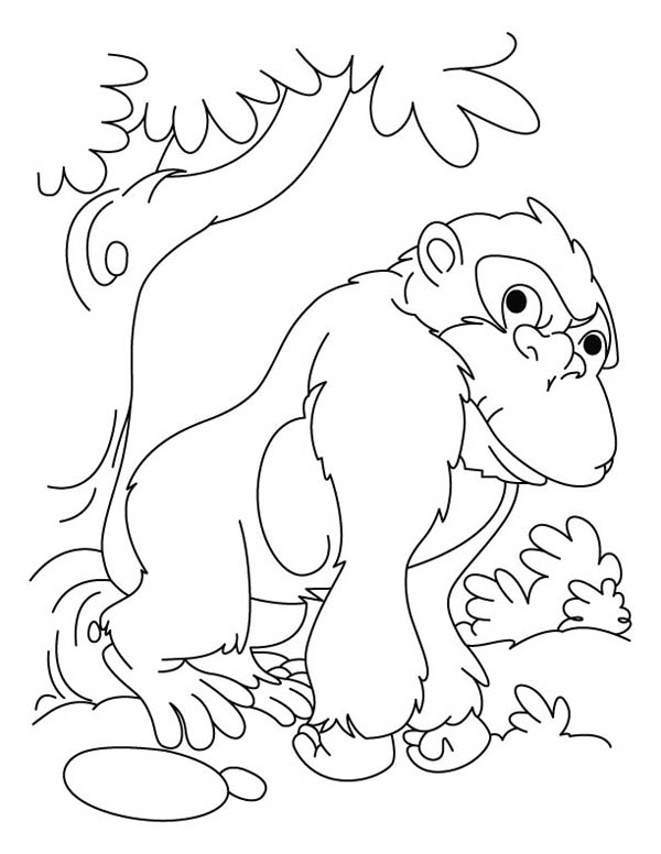 Dessin à colorier: Gorille (Animaux) #7534 - Coloriages à Imprimer Gratuits