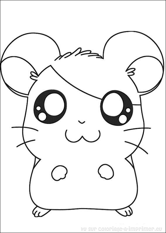 Dessin à colorier: Hamster (Animaux) #8020 - Coloriages à Imprimer Gratuits