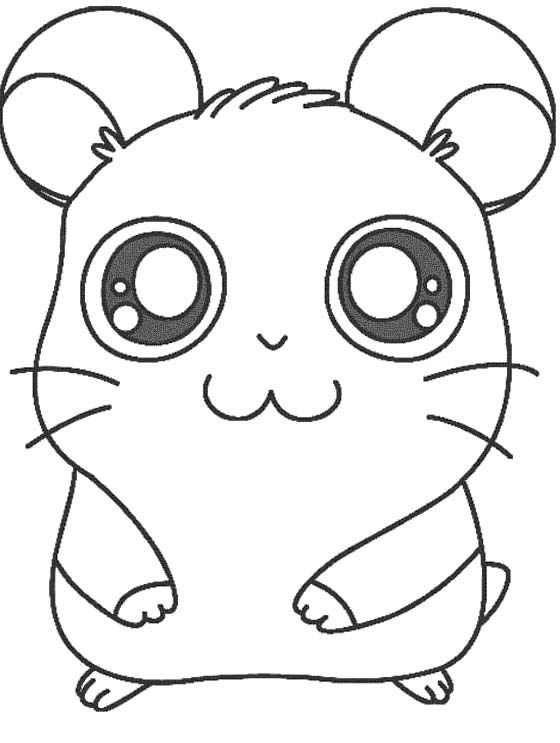 Dessin à colorier: Hamster (Animaux) #8043 - Coloriages à Imprimer Gratuits