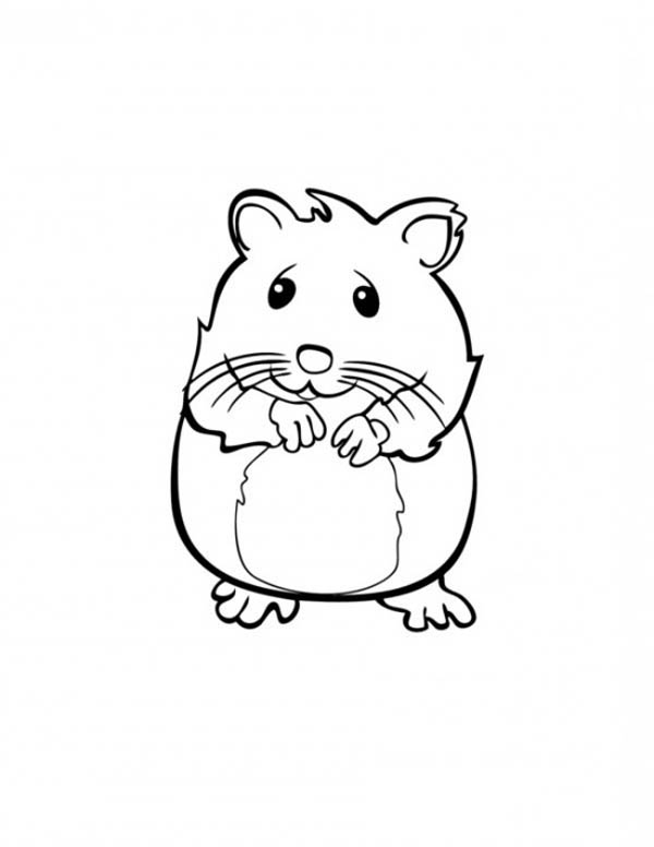 Dessin à colorier: Hamster (Animaux) #8052 - Coloriages à Imprimer Gratuits