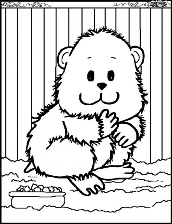 Dessin à colorier: Hamster (Animaux) #8059 - Coloriages à Imprimer Gratuits