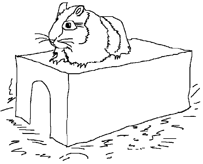Dessin à colorier: Hamster (Animaux) #8066 - Coloriages à Imprimer Gratuits