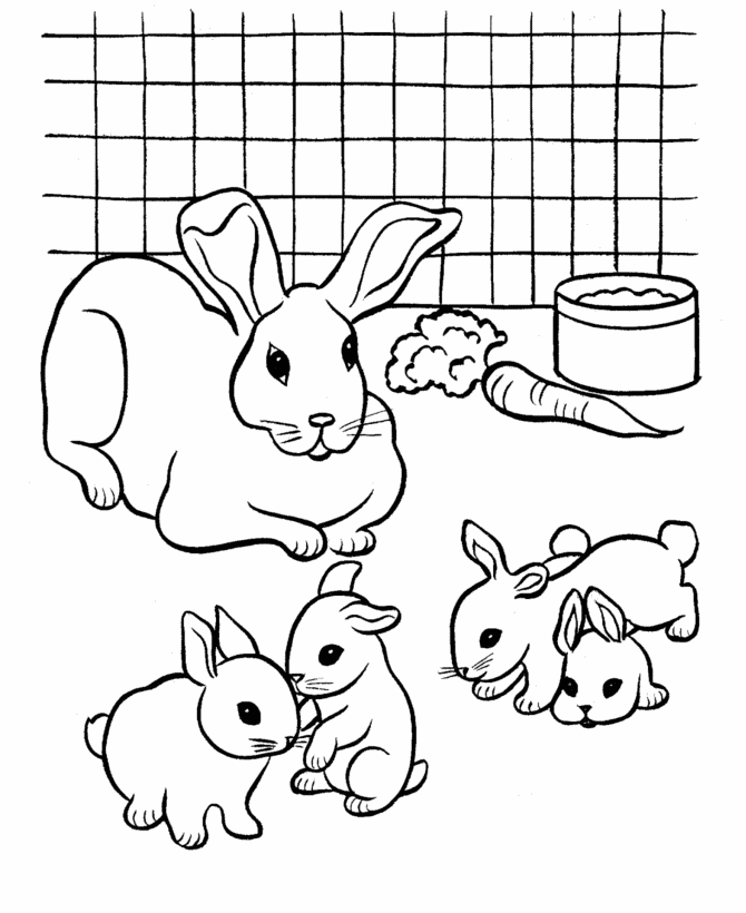 Dessin à colorier: Hamster (Animaux) #8072 - Coloriages à Imprimer Gratuits