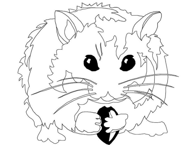 Dessin à colorier: Hamster (Animaux) #8098 - Coloriages à Imprimer Gratuits