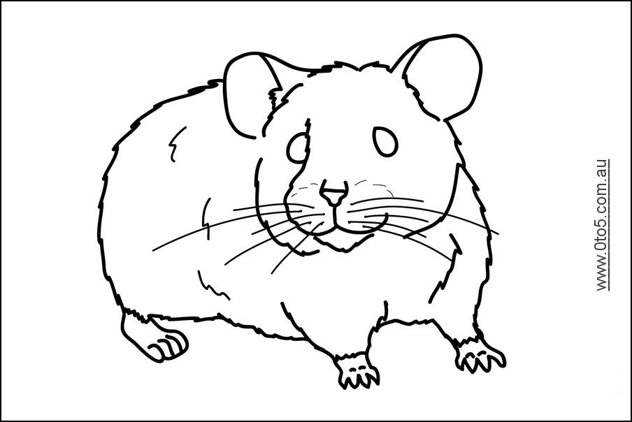 Dessin à colorier: Hamster (Animaux) #8103 - Coloriages à Imprimer Gratuits