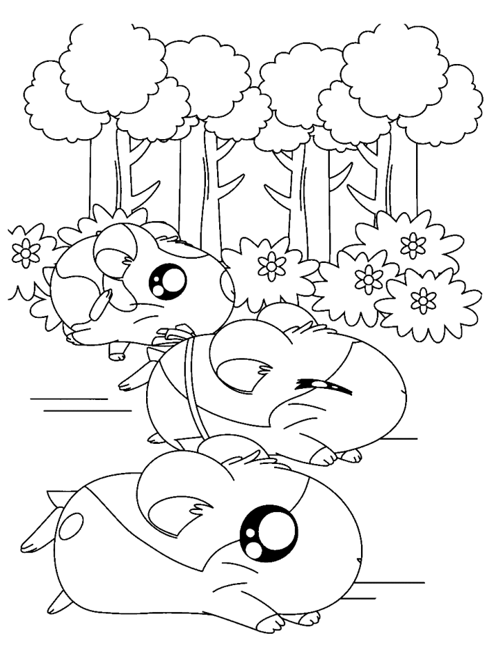 Dessin à colorier: Hamster (Animaux) #8110 - Coloriages à Imprimer Gratuits