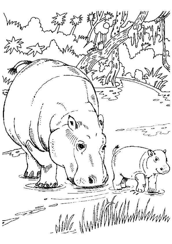 Dessin à colorier: Hippopotame (Animaux) #8611 - Coloriages à Imprimer Gratuits