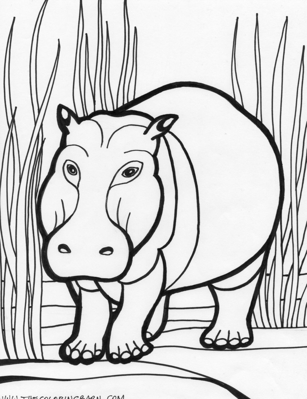 Dessin à colorier: Hippopotame (Animaux) #8643 - Coloriages à Imprimer Gratuits