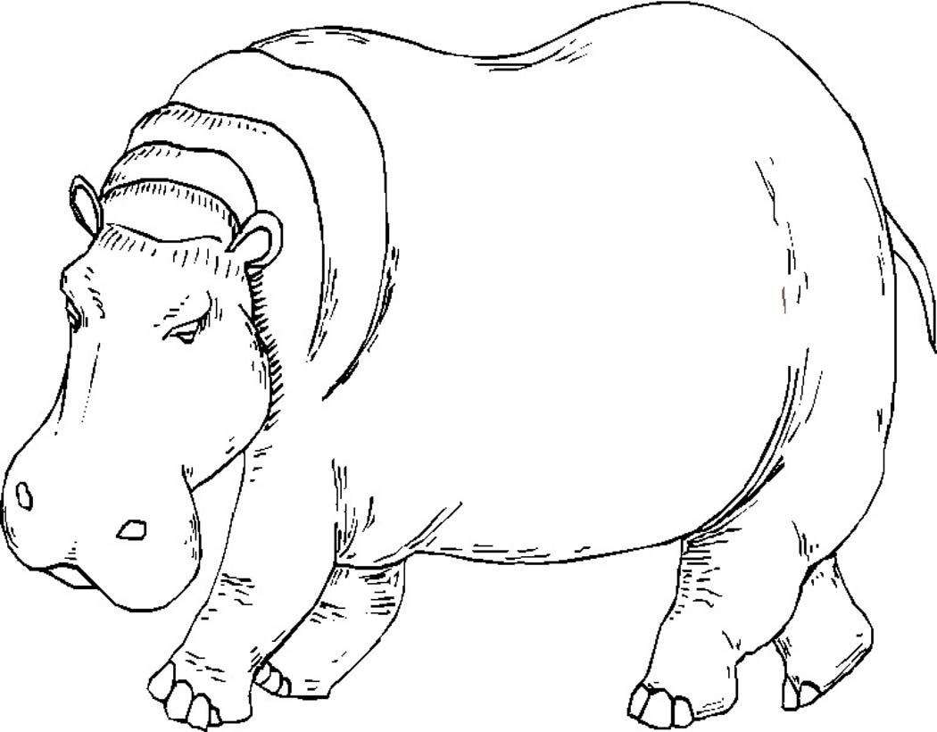 Dessin à colorier: Hippopotame (Animaux) #8665 - Coloriages à Imprimer Gratuits