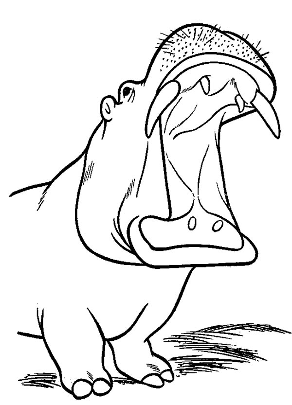 Dessin à colorier: Hippopotame (Animaux) #8772 - Coloriages à Imprimer Gratuits