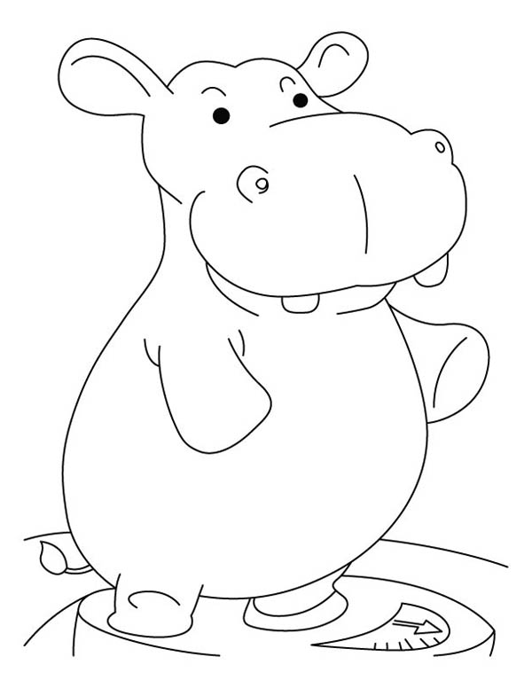 Dessin à colorier: Hippopotame (Animaux) #8799 - Coloriages à Imprimer Gratuits