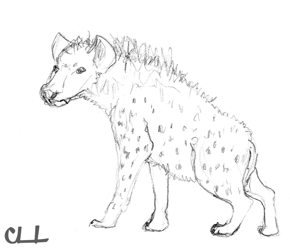 Dessin à colorier: Hyène (Animaux) #19665 - Coloriages à Imprimer Gratuits