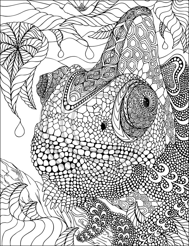 Dessin à colorier: Iguane (Animaux) #8923 - Coloriages à Imprimer Gratuits
