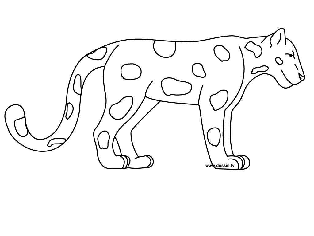 Dessin à colorier: Jaguar (Animaux) #9000 - Coloriages à Imprimer Gratuits