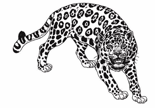 Dessin à colorier: Jaguar (Animaux) #9001 - Coloriages à Imprimer Gratuits