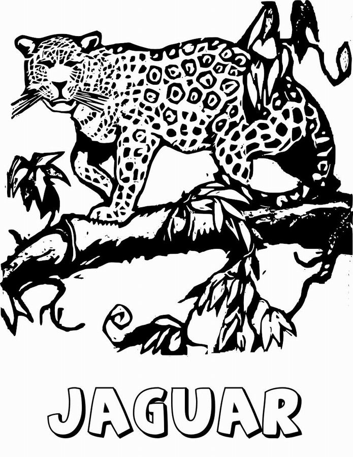 Dessin à colorier: Jaguar (Animaux) #9008 - Coloriages à Imprimer Gratuits