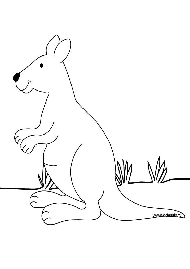 Dessin à colorier: Kangourou (Animaux) #9106 - Coloriages à Imprimer Gratuits