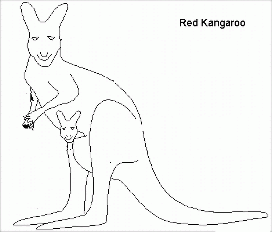 Dessin à colorier: Kangourou (Animaux) #9123 - Coloriages à Imprimer Gratuits