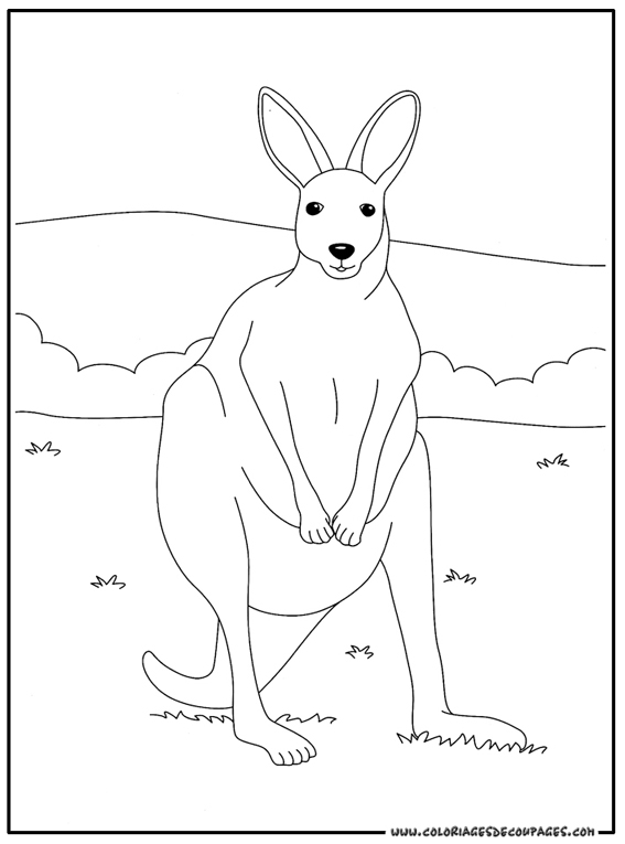 Dessin à colorier: Kangourou (Animaux) #9180 - Coloriages à Imprimer Gratuits