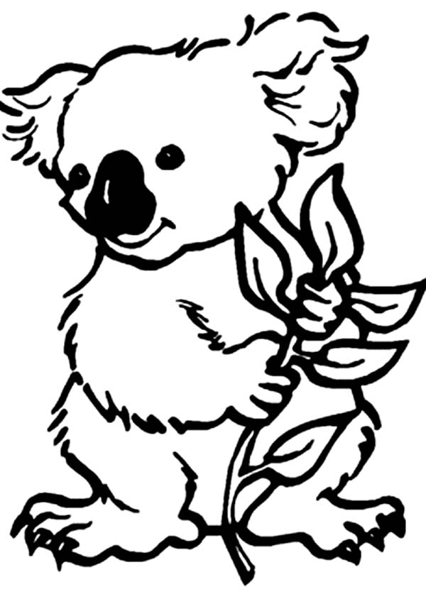 Dessin à colorier: Koala (Animaux) #9309 - Coloriages à Imprimer Gratuits