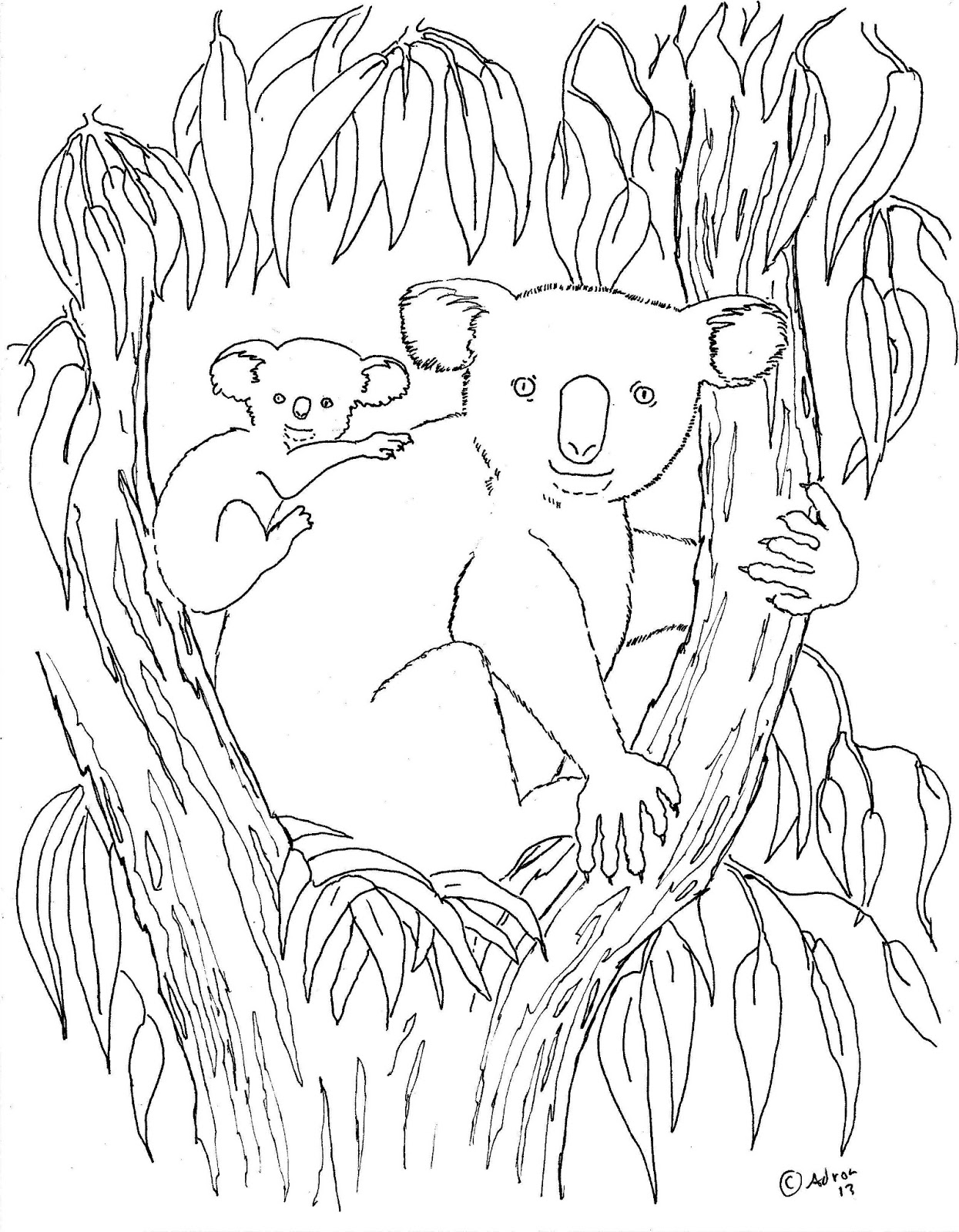 Dessin à colorier: Koala (Animaux) #9310 - Coloriages à Imprimer Gratuits